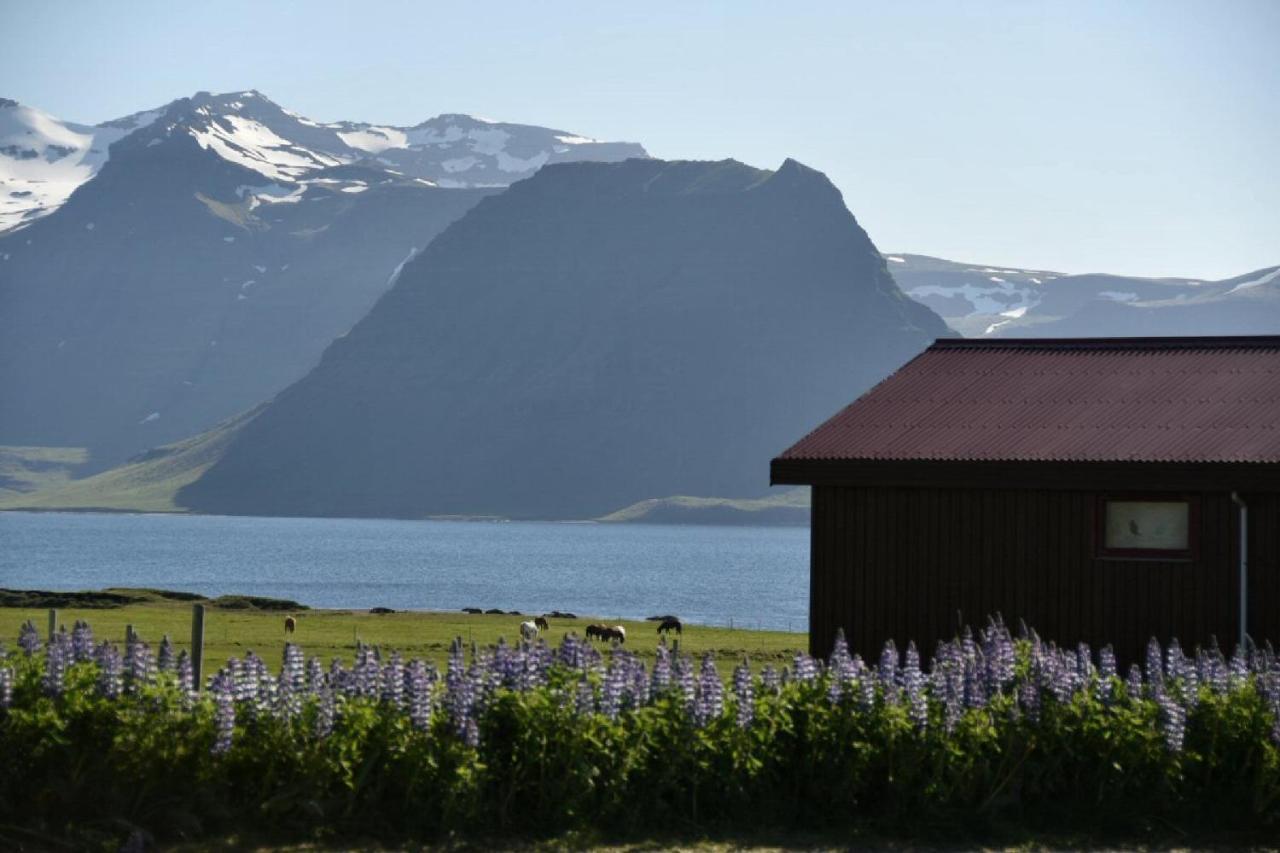Sudur-Bár Guesthouse Grundarfjördur Extérieur photo
