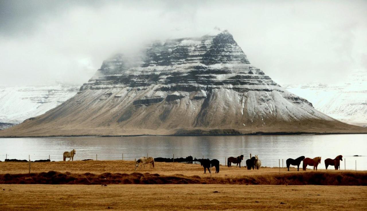Sudur-Bár Guesthouse Grundarfjördur Extérieur photo